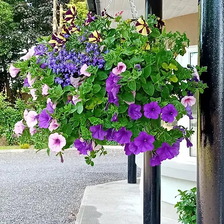 White Quarry Hse Quarry Road