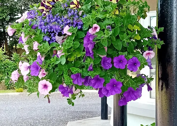 White Quarry Hse Quarry Road