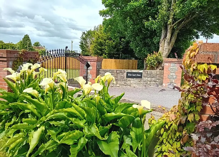 乡村民宿 White Quarry Hse Quarry Road 纳文